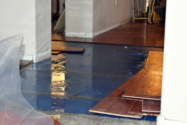 Professional Sewage Cleanup technician working in Lawrence, MA